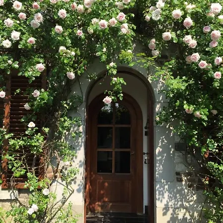 Le Chenia Holiday home