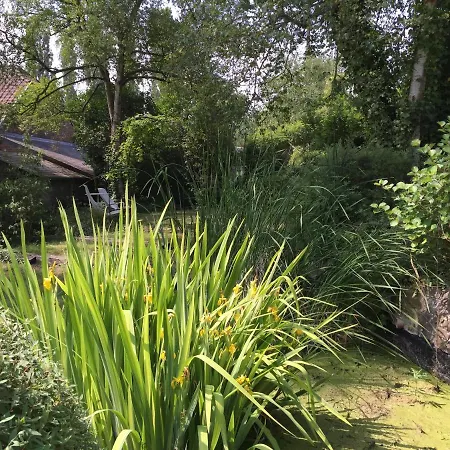 Le Chenia בית נופש Wanze